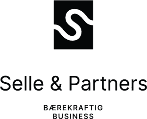 Logo Selle and partners