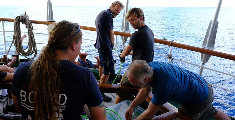 Launching the hydrophone. Photo: Isak Okkenhaug